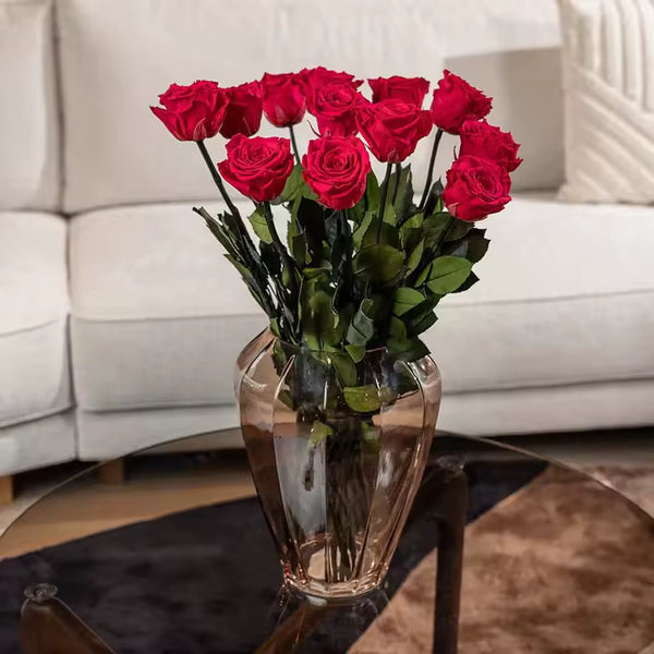 ★★★★★ 4.7/5 Emilia B.